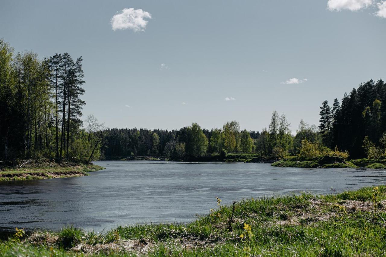 "Gaujmale" Sauna House In Nature Laukbeitini المظهر الخارجي الصورة